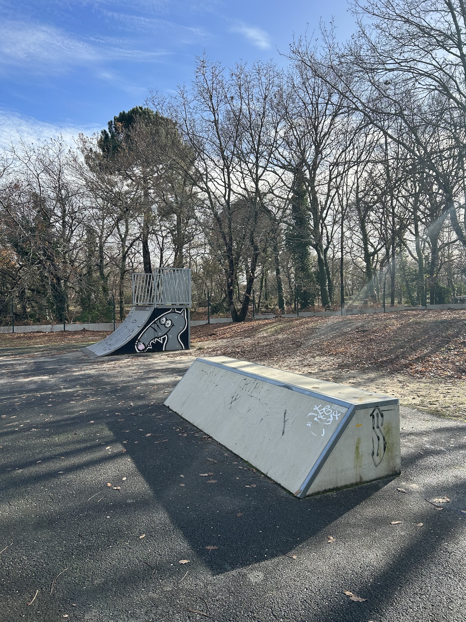 Complexe Sportif de Cassy skatepark